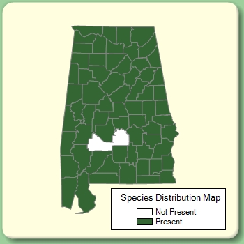 Species Distribution Map