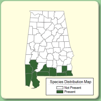 Species Distribution Map