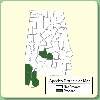 Species Distribution Map