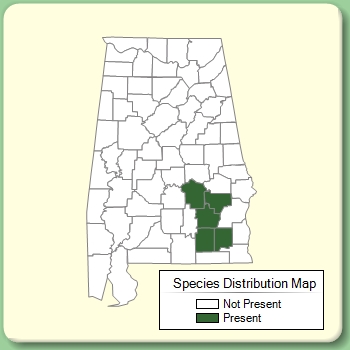 Species Distribution Map