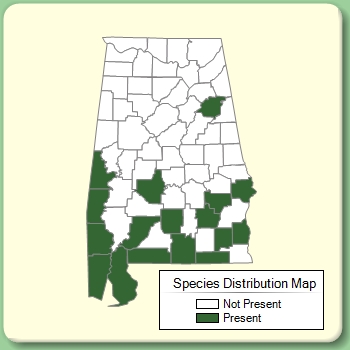 Species Distribution Map