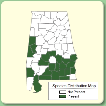 Species Distribution Map