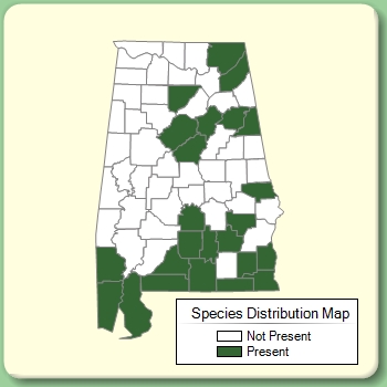 Species Distribution Map