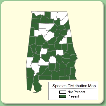 Species Distribution Map