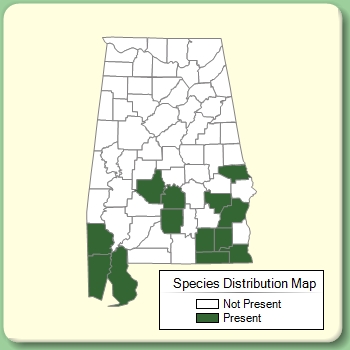 Species Distribution Map