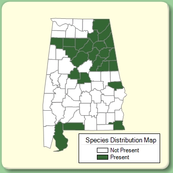 Species Distribution Map