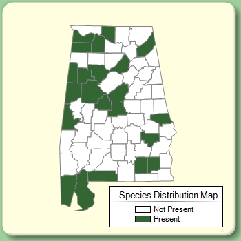 Species Distribution Map