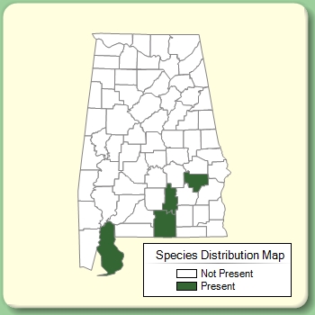 Species Distribution Map