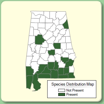 Species Distribution Map