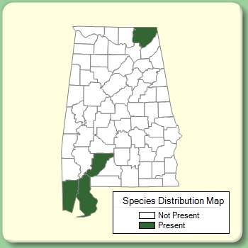 Species Distribution Map