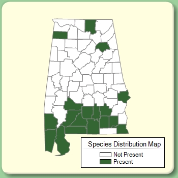 Species Distribution Map