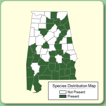 Species Distribution Map