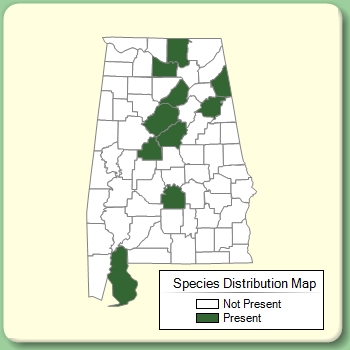 Species Distribution Map