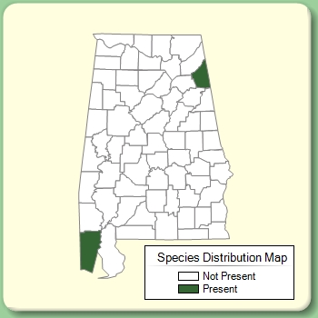 Species Distribution Map