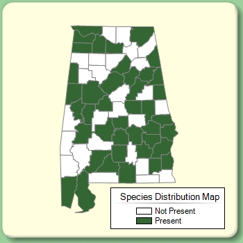 Species Distribution Map