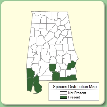 Species Distribution Map