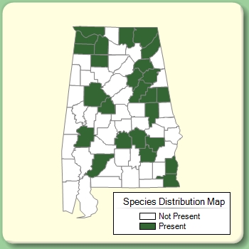 Species Distribution Map