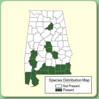 Species Distribution Map