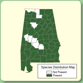 Species Distribution Map