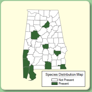 Species Distribution Map