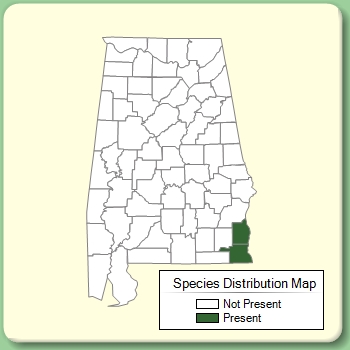 Species Distribution Map