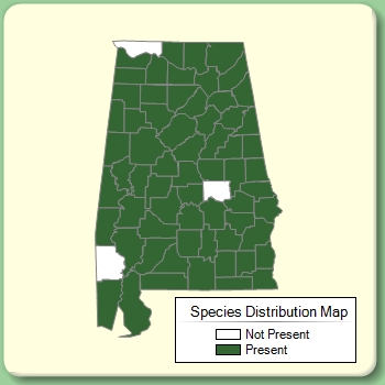 Species Distribution Map