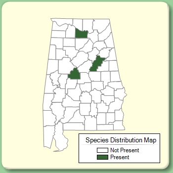 Species Distribution Map