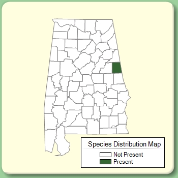 Species Distribution Map