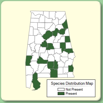 Species Distribution Map