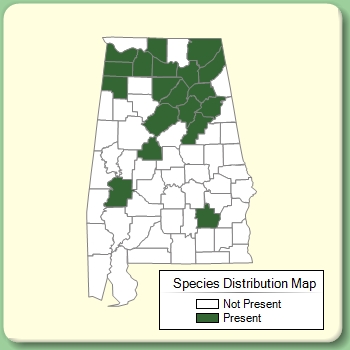 Species Distribution Map