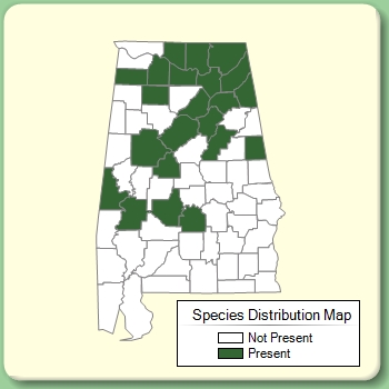 Species Distribution Map