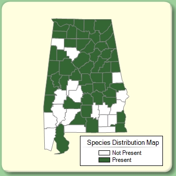 Species Distribution Map