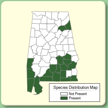 Species Distribution Map