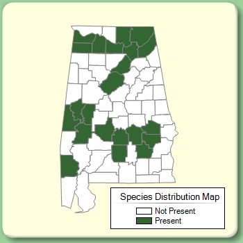 Species Distribution Map