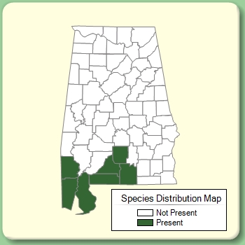 Species Distribution Map