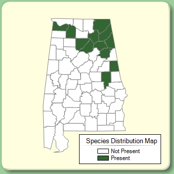 Species Distribution Map