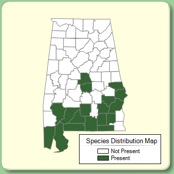 Species Distribution Map