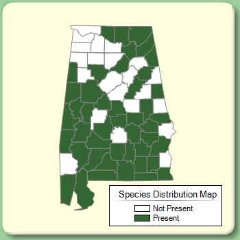 Species Distribution Map