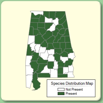 Species Distribution Map