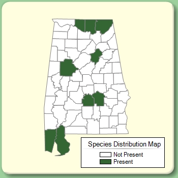 Species Distribution Map