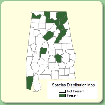 Species Distribution Map