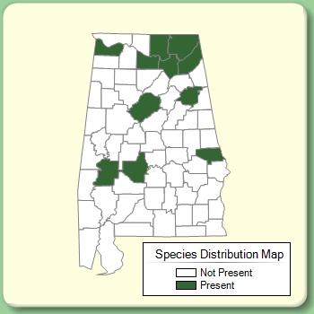 Species Distribution Map