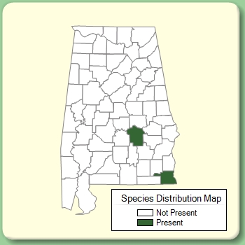 Species Distribution Map