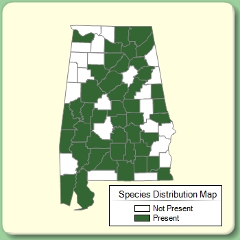 Species Distribution Map