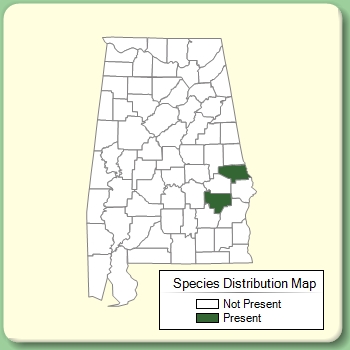 Species Distribution Map