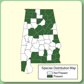 Species Distribution Map