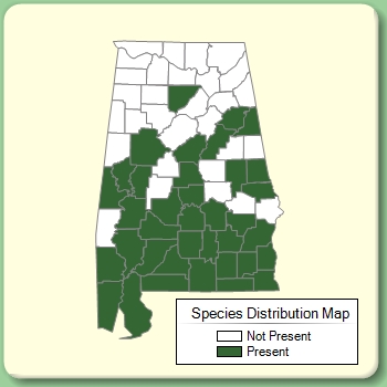 Species Distribution Map