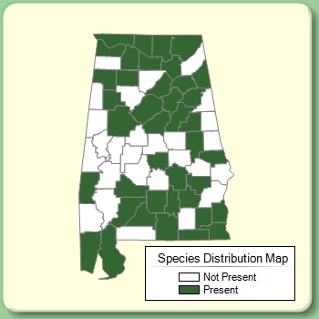 Species Distribution Map