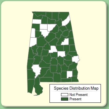 Species Distribution Map