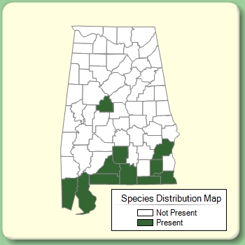 Species Distribution Map